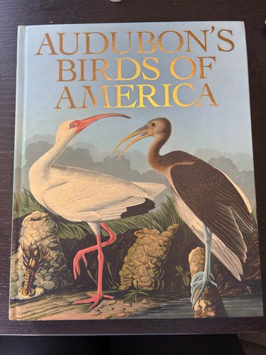 Audobon birds america - audobon, of