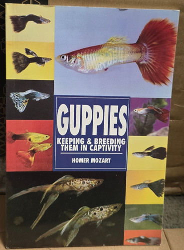 Guppies keeping breeding - &, in