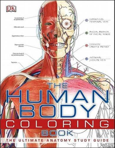 The human body coloring - the, book