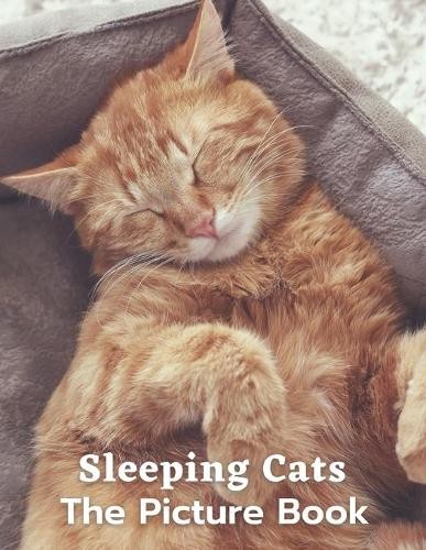 Lisa publisher sleeping - lisa,